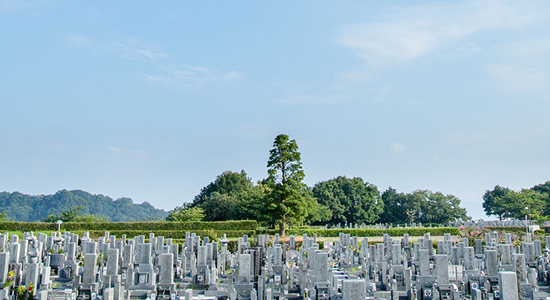 Goshikidai Memorial Park