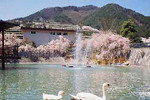 猪名川霊園　光景